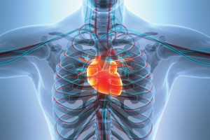 Tackling comorbidities in your patient with heart failure: practical management strategies for GPs